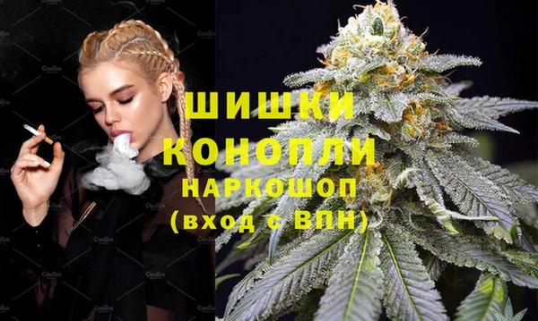 гашик Козельск